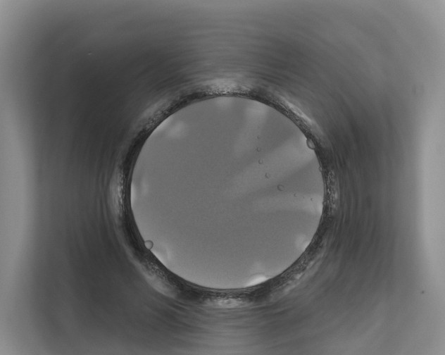 X0000111820590200909031452