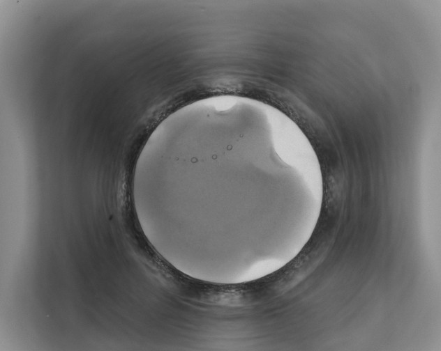 X0000111820600200909031452