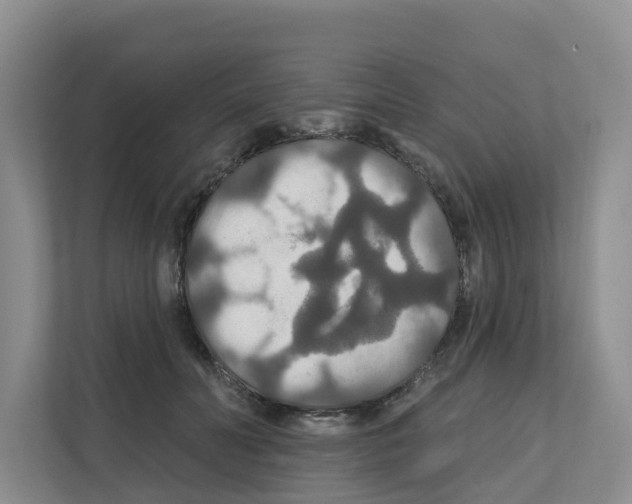 X0000111820606200909031452