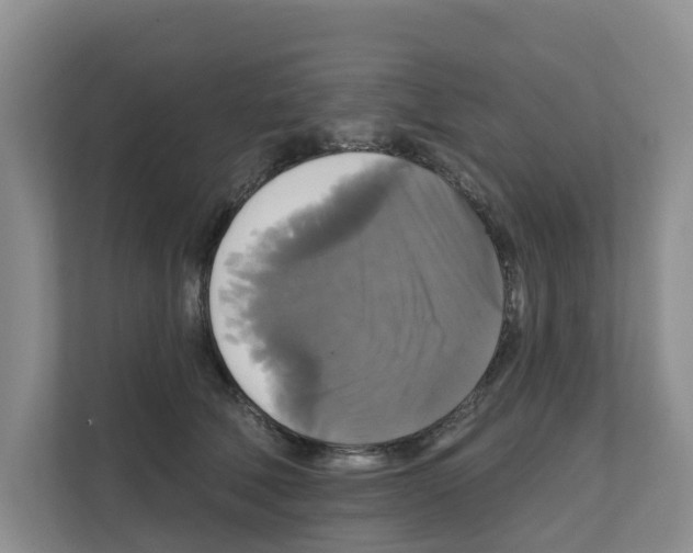 X0000111820610200909031452