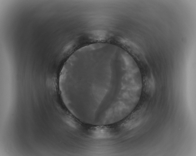 X0000111820612200909031452