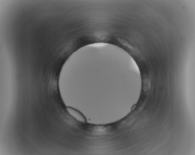 X0000111820613200909031452