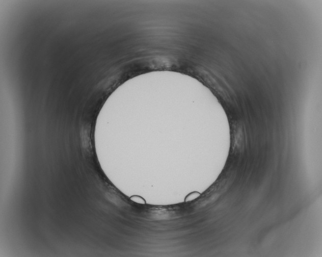 X0000111820616200909031452