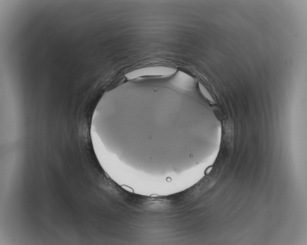 X0000111820617200909031452