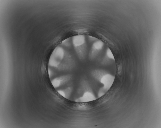 X0000111820618200909031452