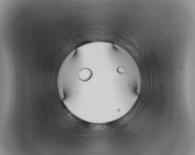 X0000111820621200909031452
