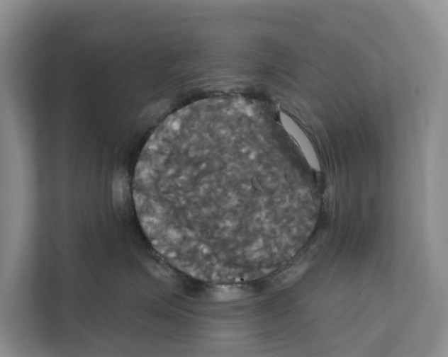 X0000111820623200909031452