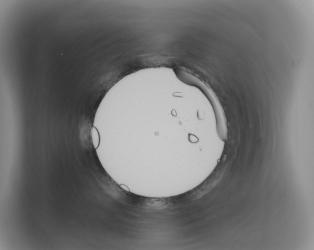 X0000111820624200909031452