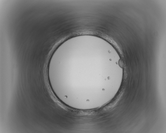 X0000111820625200909031451