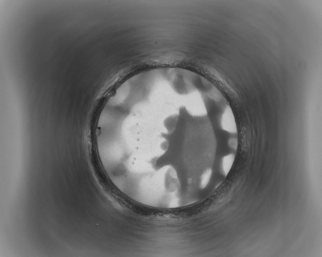 X0000111820634200909031451