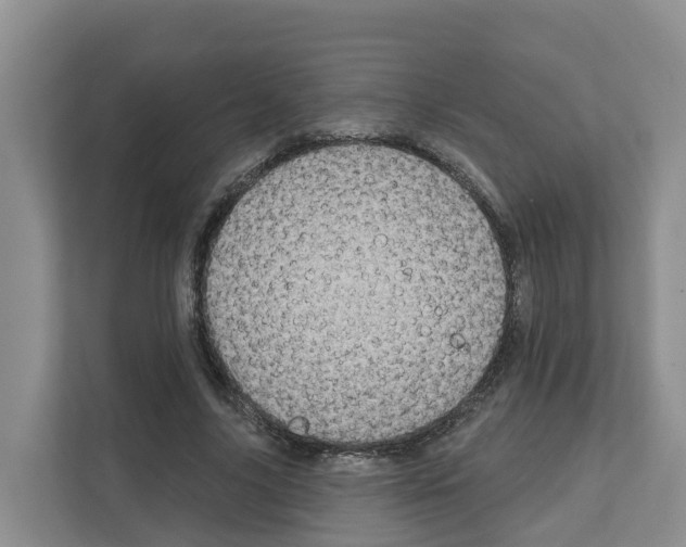 X0000111820635200909031451