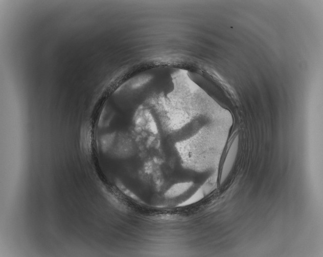 X0000111820637200909031451