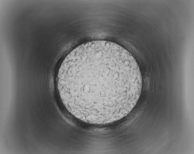 X0000111820638200909031451