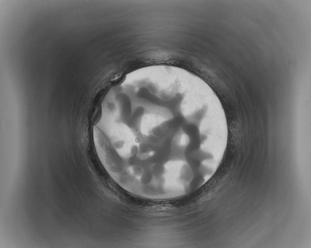 X0000111820642200909031451