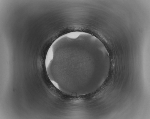 X0000111820643200909031451