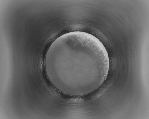 X0000111820644200909031451