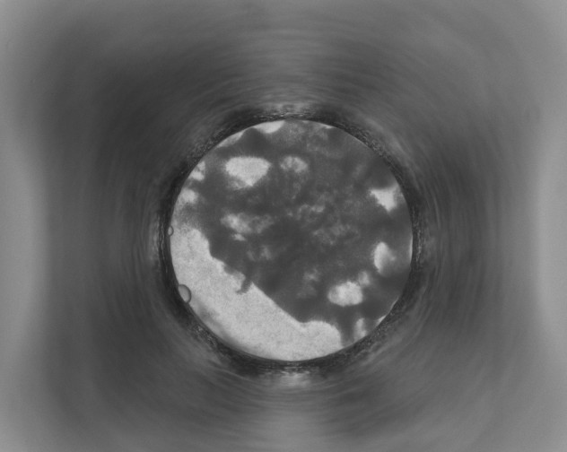 X0000111820647200909031451