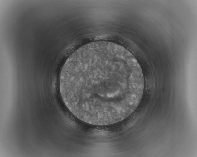X0000111820648200909031451