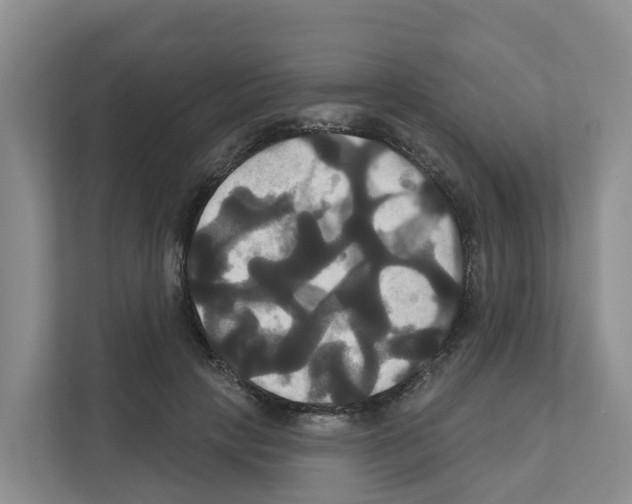 X0000111820649200909031451