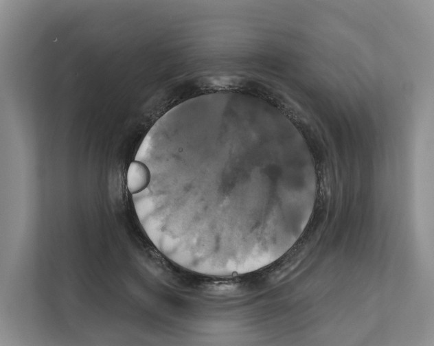 X0000111820651200909031451