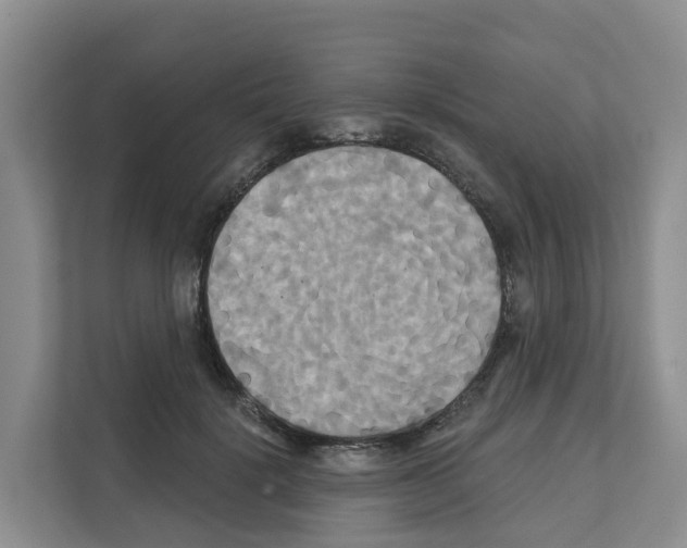 X0000111820652200909031451