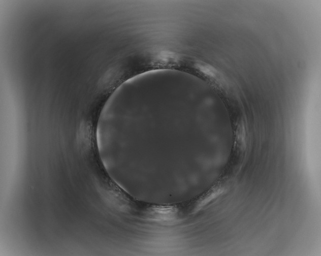 X0000111820659200909031451