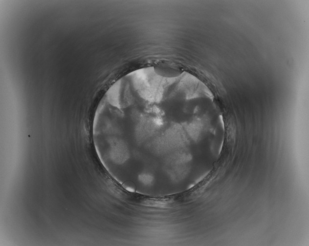 X0000111820661200909031451