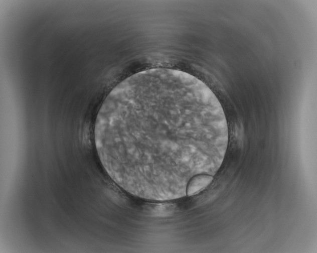X0000111820663200909031451