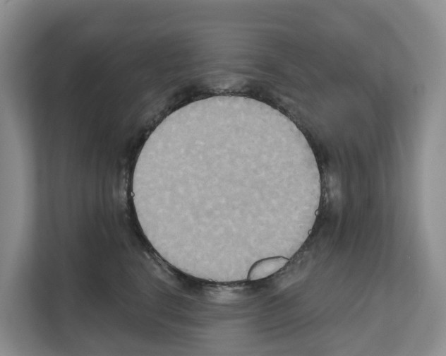 X0000111820664200909031451