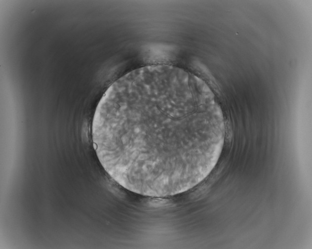 X0000111820669200909031451