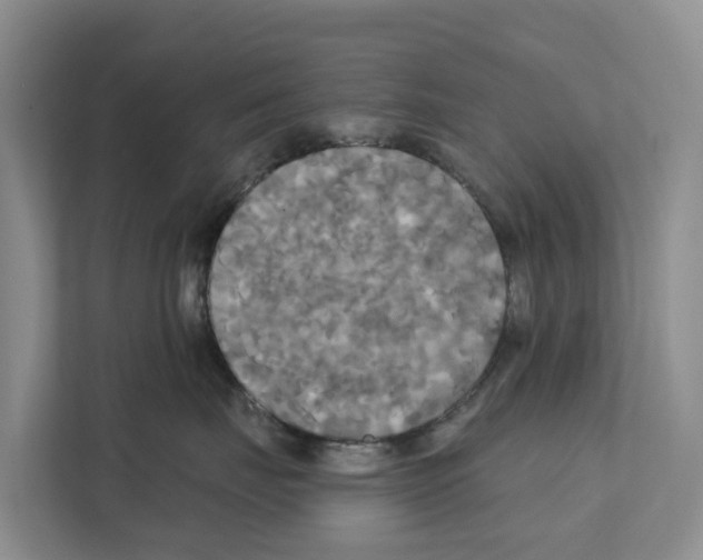X0000111820671200909031452