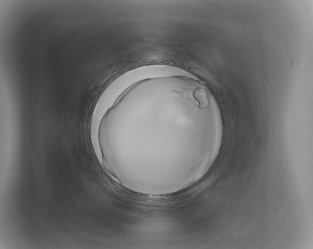 X0000111820672200909031452