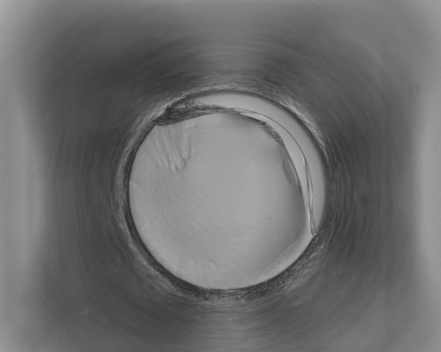 X0000111820673200909031451