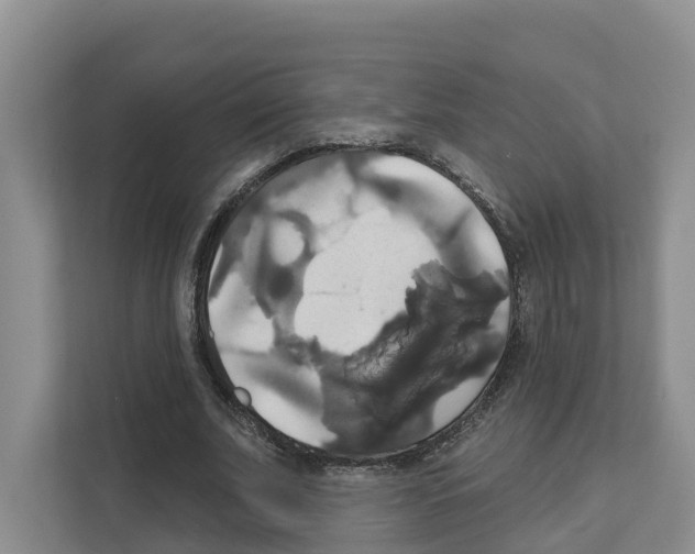 X0000111820679200909031451