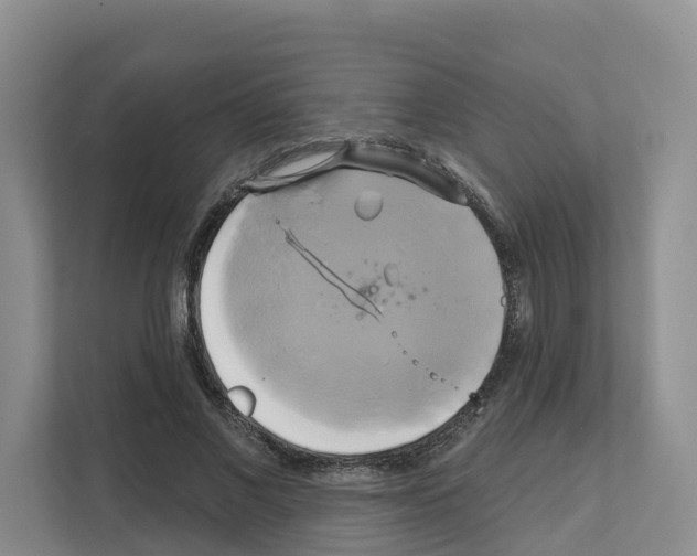 X0000111820685200909031451