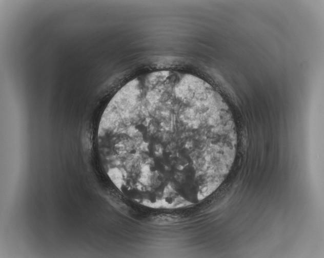 X0000111820691200909031451