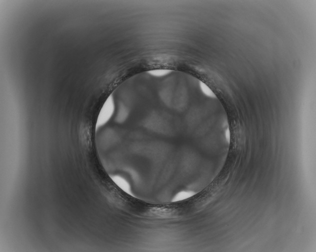 X0000111820699200909031451