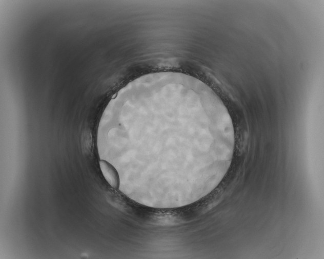 X0000111820704200909031450
