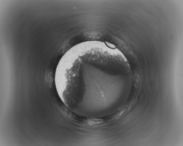 X0000111820707200909031450