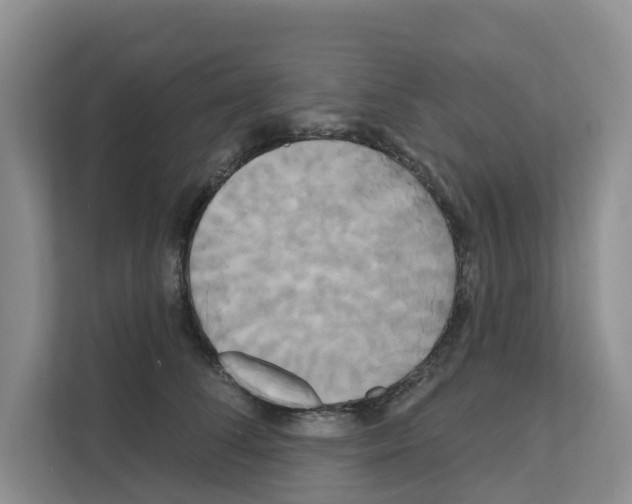 X0000111820708200909031450