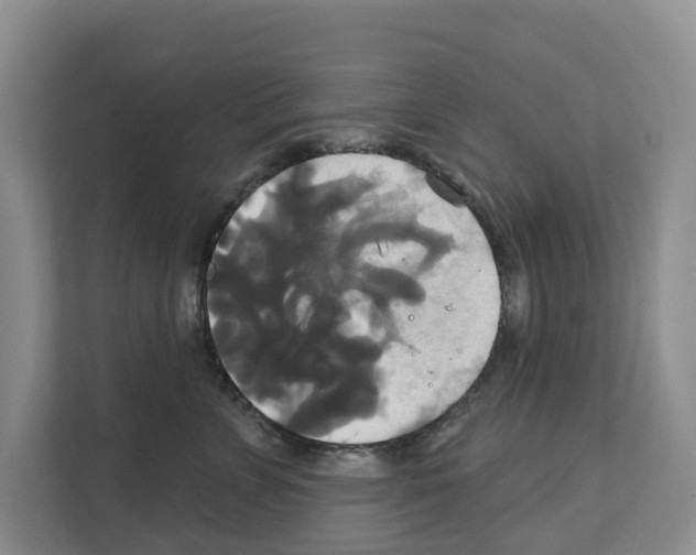 X0000111820715200909031450