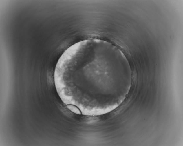 X0000111820719200909031450