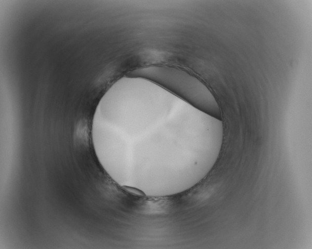 X0000111820720200909031450
