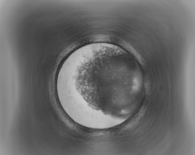 X0000111820721200909031450