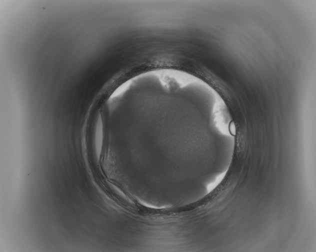 X0000111820722200909031450