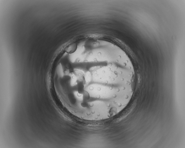 X0000111820725200909031450