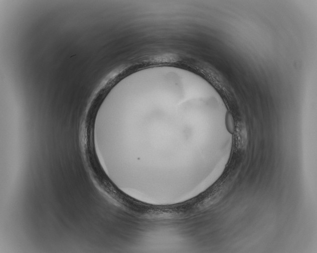X0000111820726200909031450