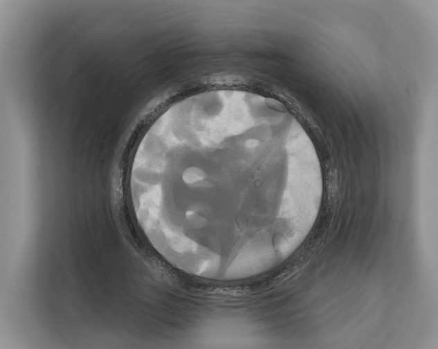 X0000111820727200909031450