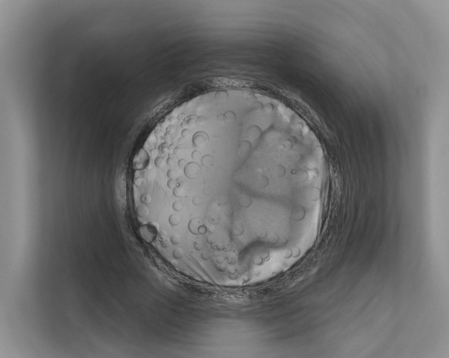 X0000111820729200909031450