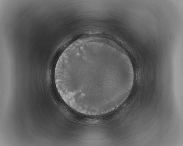 X0000111820735200909031450